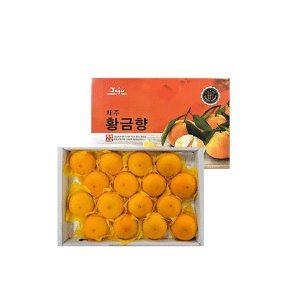 샘플이미지